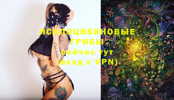 прущий лед Армянск