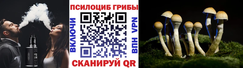 Галлюциногенные грибы Psilocybine cubensis Изобильный