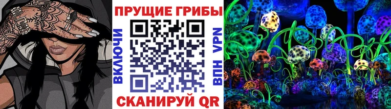 Псилоцибиновые грибы Magic Shrooms  где найти   Изобильный 